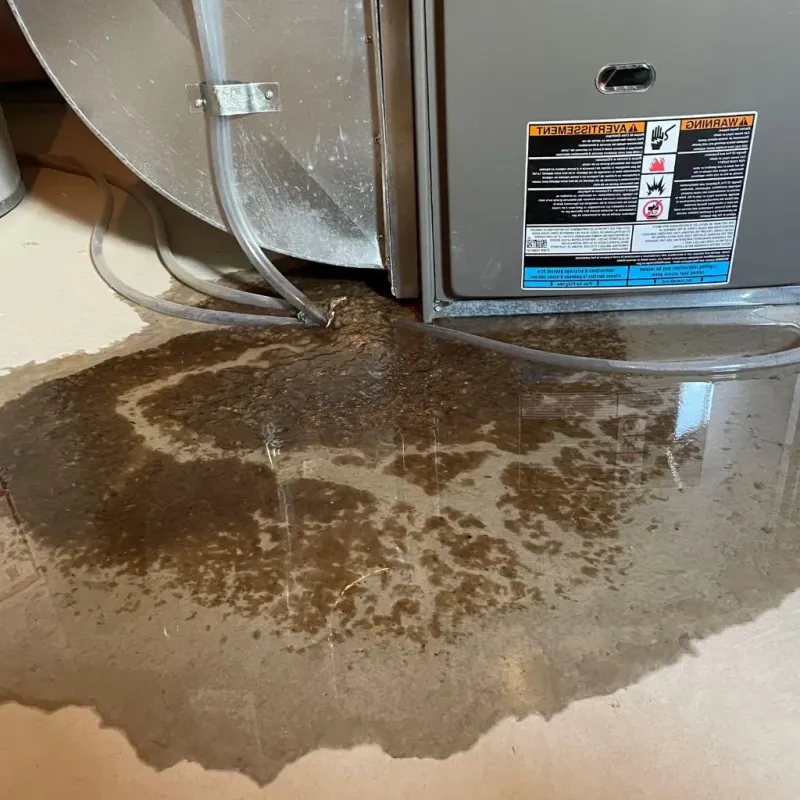 Pipe Burst and Leak Restoration in Brentwood, PA