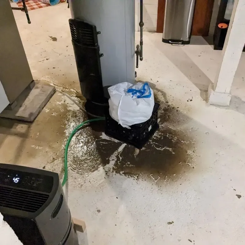 Sewage Backup Cleanup Service in Brentwood, PA